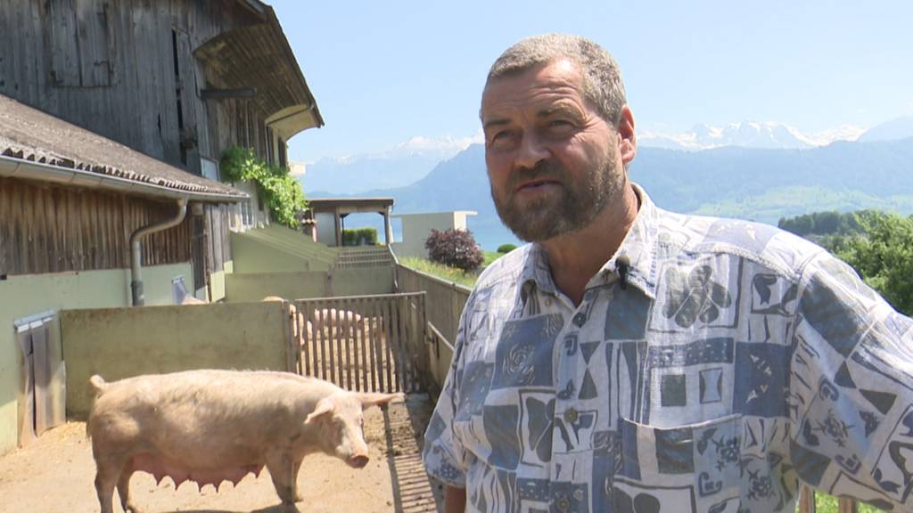 Bauer muss Schweinestall abreissen, weil es dem Neuzuzüger zu sehr stinkt