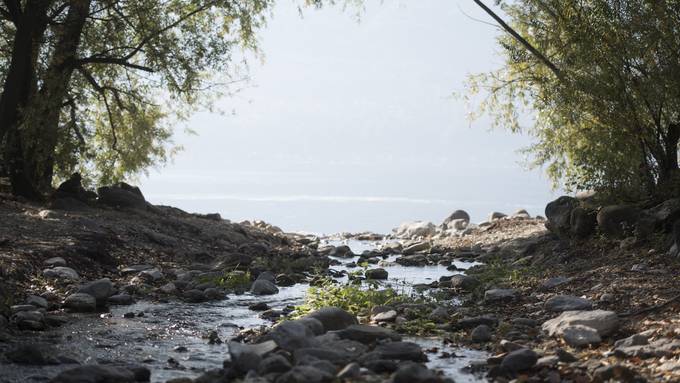 65-jährige Luzernerin ertrinkt im Lago Maggiore