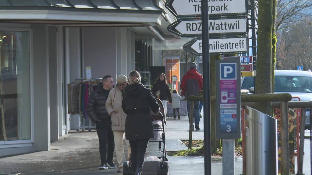 Reaktionen aus Politik und Bevölkerung zum E-Collecting