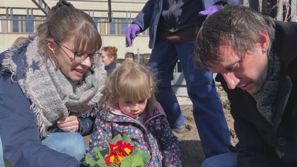 Niere spenden dank neuem System: Betroffene erzählen
