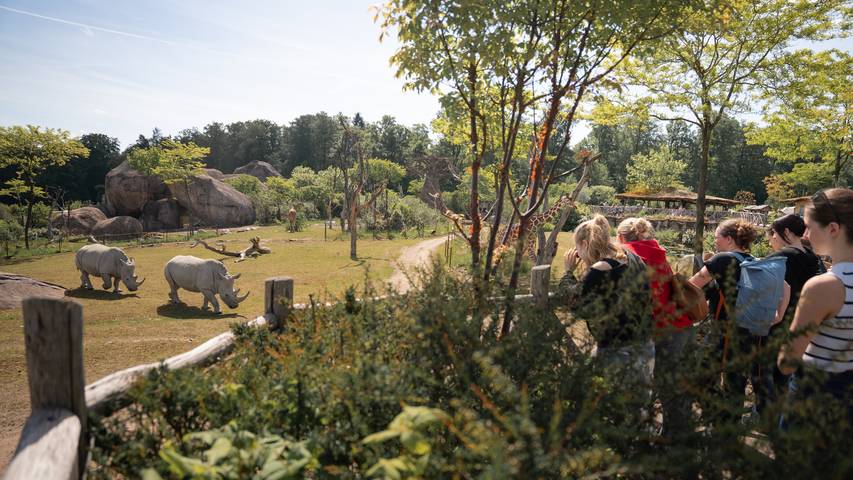 Gewinne Jahreskarten für den Zoo Zürich