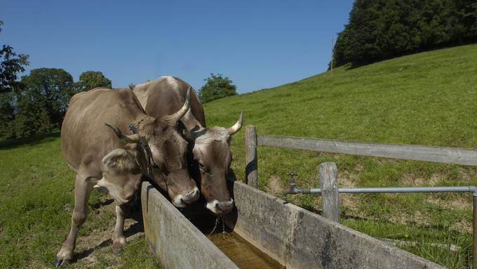 «Die Bauern haben das gut gemeistert»