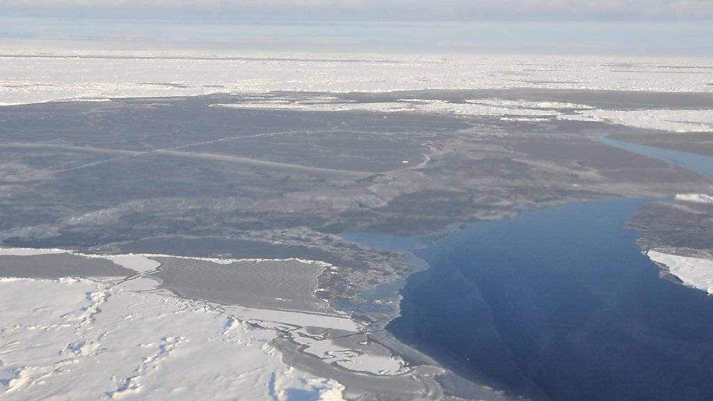 Die arktische Eisdecke könnte nächsten Sommer auf ein neues Rekordtief schrumpfen. (Archivbild)