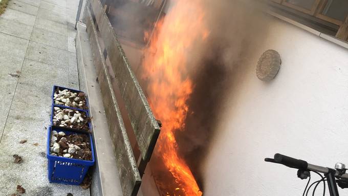 Hausbrand wegen Sauna: Katze stirbt im Rauch – Haus unbewohnbar