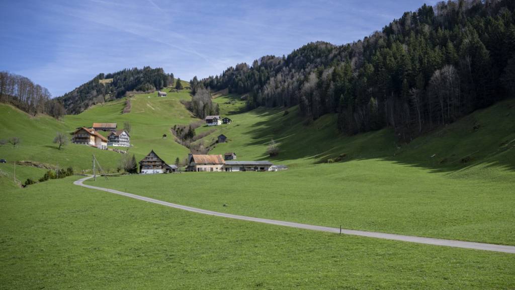Die Nutzungsplanung für die im Gebiet Altstatt in Sattel SZ geplante Deponie geht in die zweite Auflage. (Archivaufnahme)