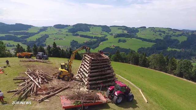 Qualvolles Igelsterben am 1.-August-Feuer