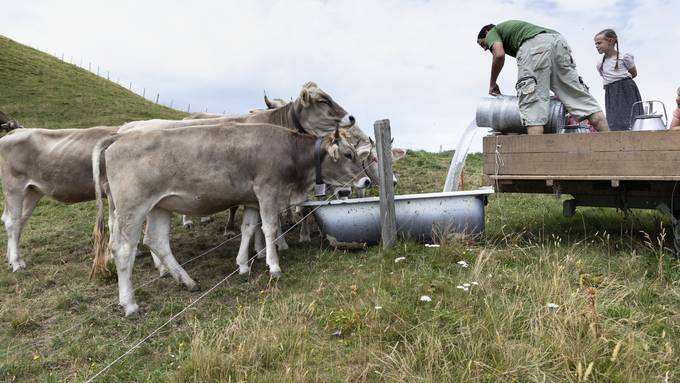 «Teilweise fehlt Wasser und Futter»