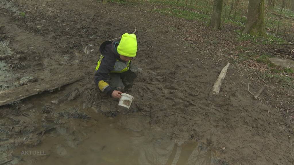 Waldschule Baden: Kinder werden bis in die 2. Klasse im Wald unterrichtet