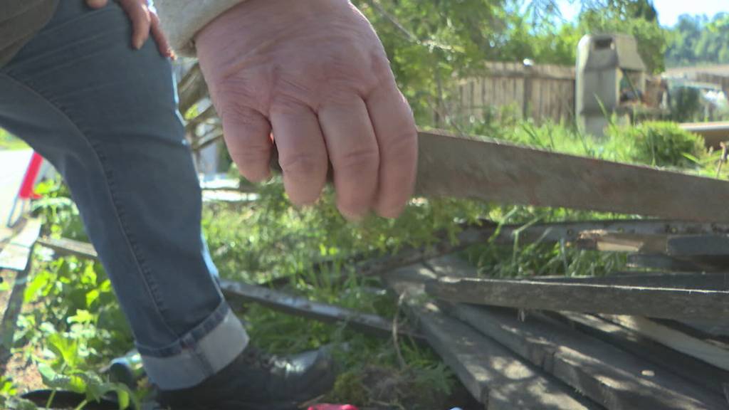 Sekundenschlaf: Autofahrer kracht in Brittnau auf den Vorplatz von Silvia Sommer