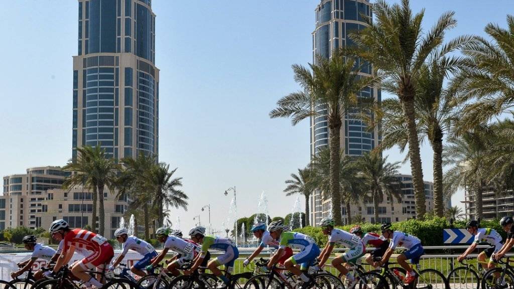 Das Juniorenfeld entlang von Palmen und Hochhäusern in Doha