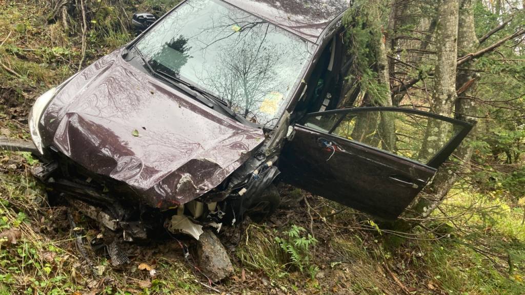 Erst als das leere Auto gegen Bäume krachte, kam es total demoliert zum Stillstand.