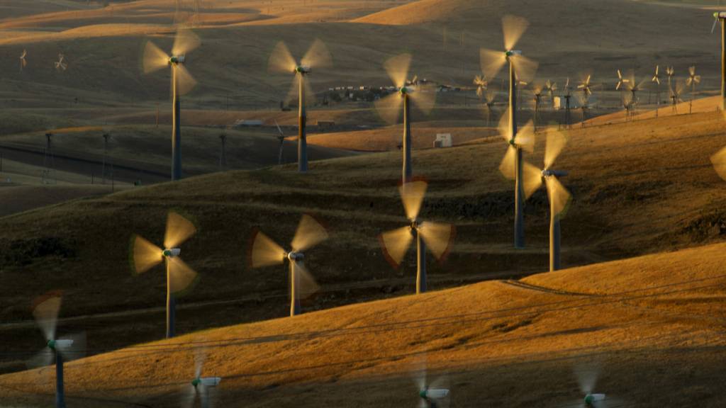 Trotz des rasanten Fortschritts bei erneuerbaren Energien steigen die globalen Kohlenstoffemissionen laut dem Wissenschaftsmagazin «Science» weiter an. (Archivbild)