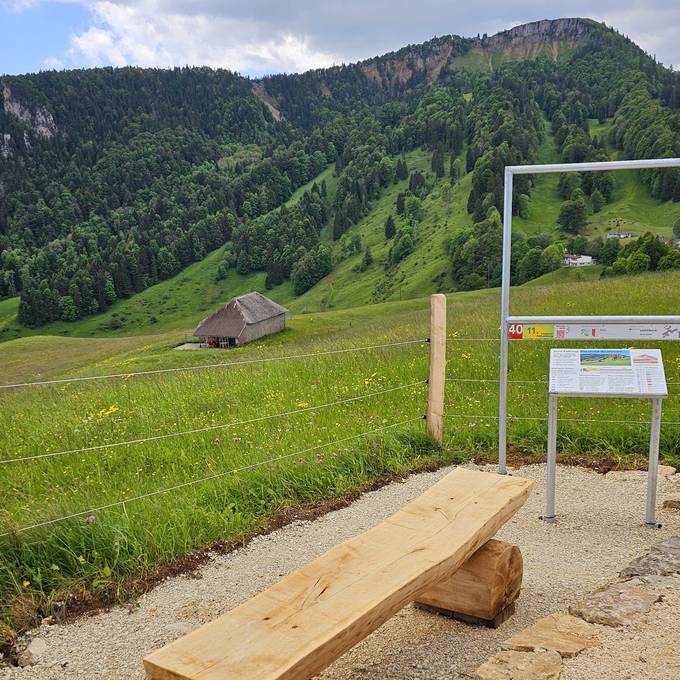 Vom Grenchenberg zum Balmberg: 11. Solothurner Waldwanderung eröffnet