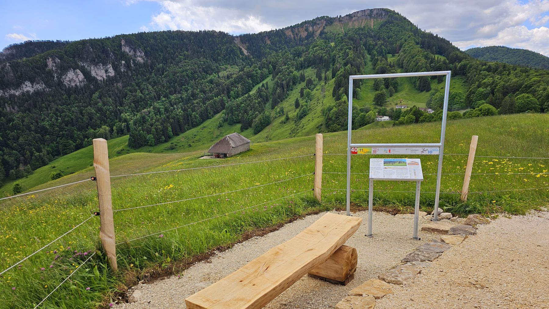 Solothurner Waldwanderung - Grenchenberg