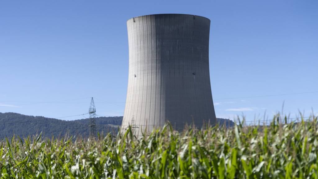 Der Kühlturm des Kernkraftwerks Gösgen. (Archivbild)