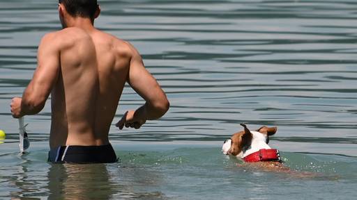 Auch 36-Grad-Marke an mehreren Orten überschritten