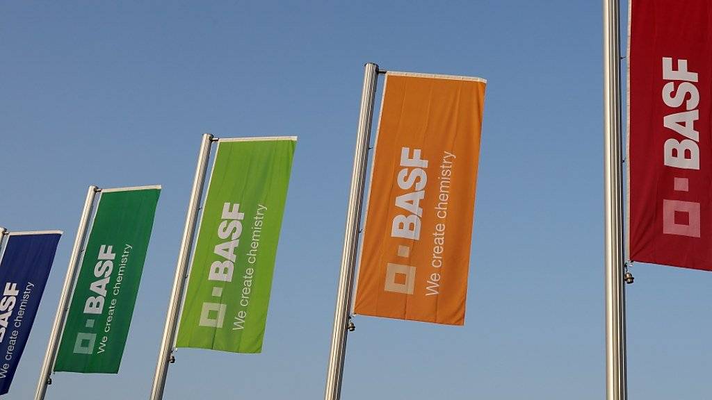 Der Chemiekonzern BASF stösst einen Teil seines Geschäfts ab in die Niederlanden. (Symbolbild)