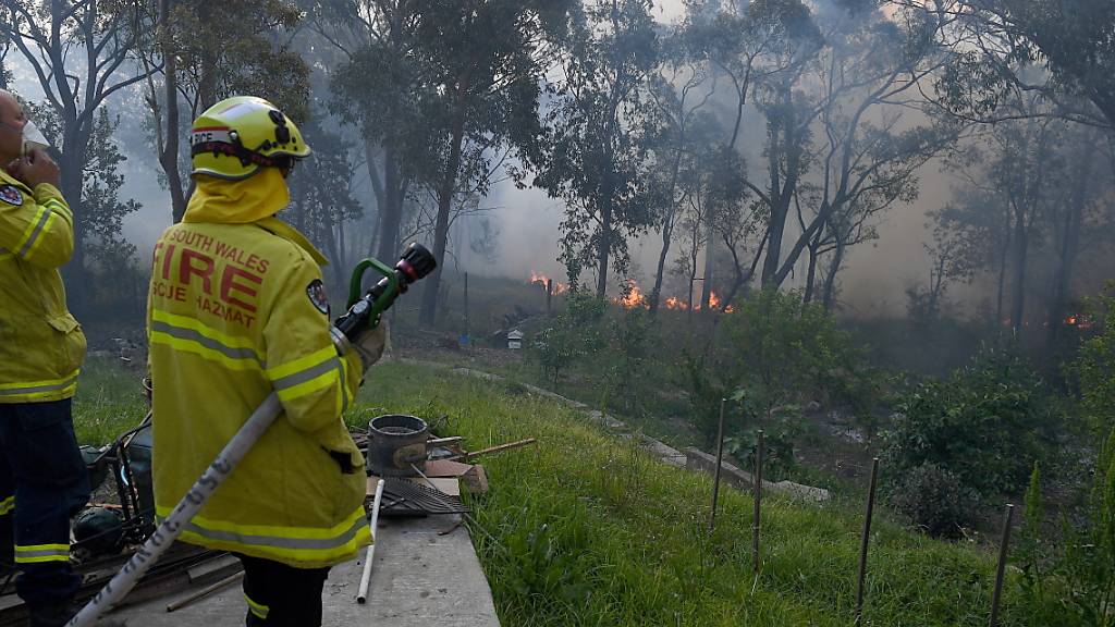 Rund hundert Buschfeuer wüteten entlang der Ostküste Australiens. 17 der Brände konnte die Feuerwehr noch nicht unter Kontrolle bringen.
