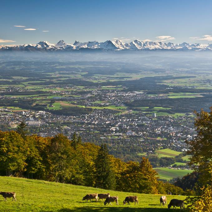 Meilenstein auf dem Weg zur elften Solothurner Waldwanderung