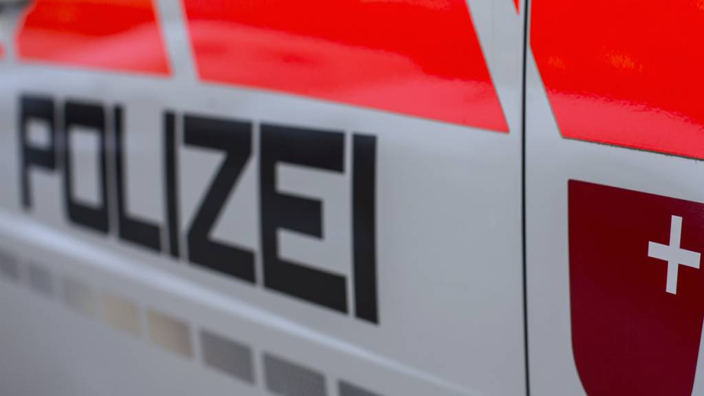 Die Kantonspolizei Schwyz rückte wegen zwei mutmasslichen Dieben an den Bahnhof Lachen aus. (Symbolbild)