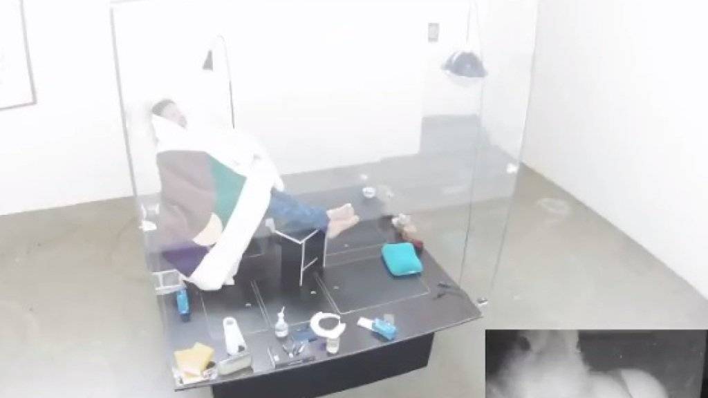Abraham Poincheval am Mittwochmorgen, noch schlafend, in Decken gehüllt, in einem Plexiglasbehälter im Palais de Tokyo in Paris brütend. Rechts unten das Küken, das bereits geschlüpft ist. (Screenshot Live-Cam)