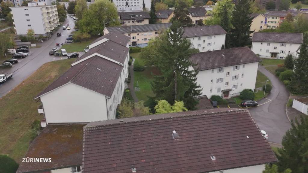Zu teuer? Stadt Zürich kauft 12 Mehrfamilienhäuser in Seebach