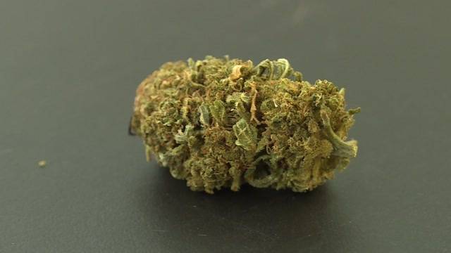 Legales Cannabis im Trend