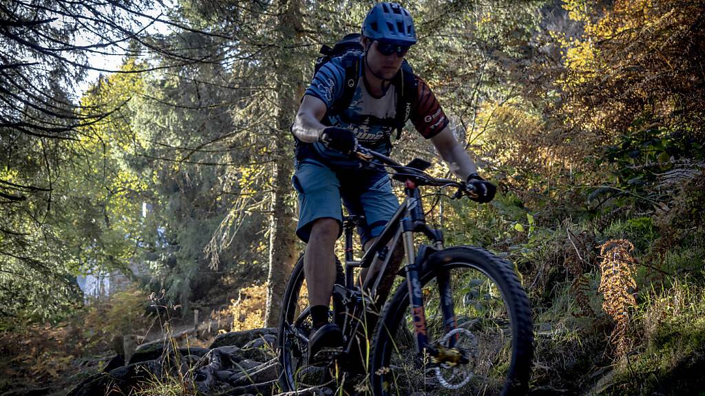 Das Zuger Stimmvolk hat sich deutlich für das neue Waldgesetz ausgesprochen und schränkt damit das Biken in den Zuger Wäldern ein. (Symbolbild)