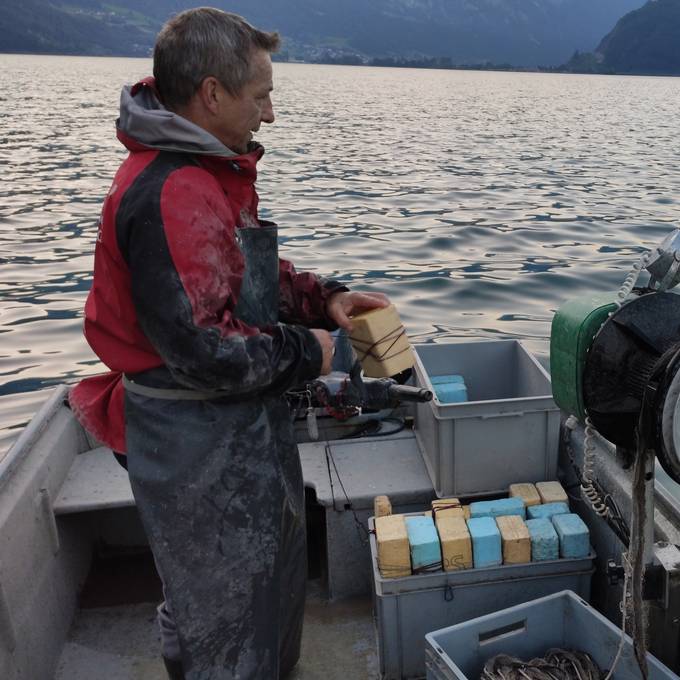 Klebrige Substanz im Walensee: Der Kanton steht vor einem Rätsel