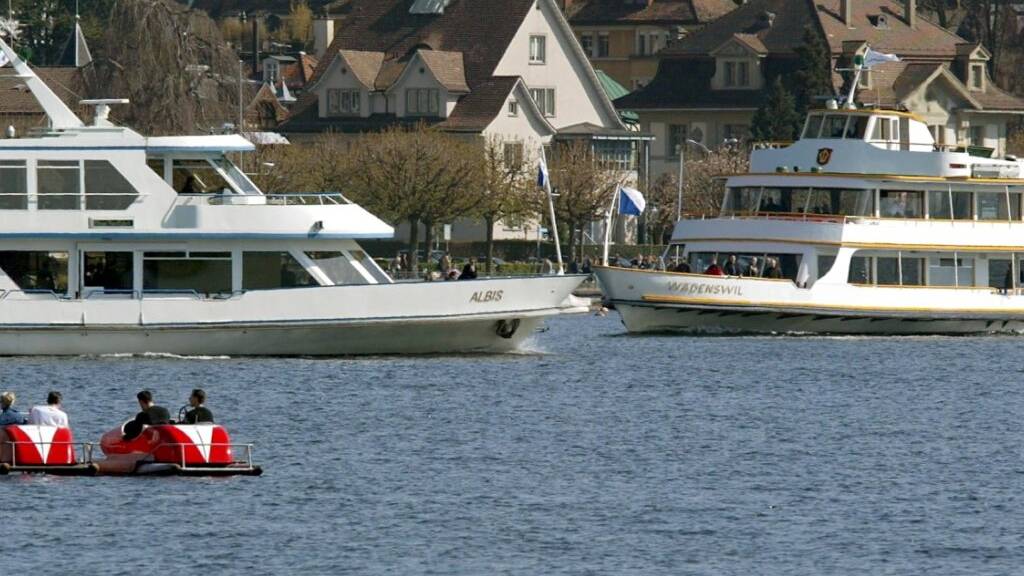 Damit es auf dem Zürichsee zu weniger Konflikten kommt, plant die Stadt Zürich in Wollishofen einen neuen, längeren Steg. (Archivbild)