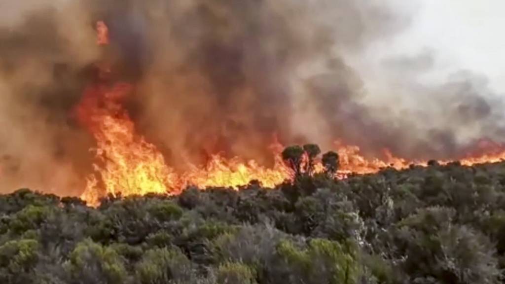 SCREENSHOT - Flammen steigen aus einem Waldstück auf dem Kilimandscharo empor. Rettungsdienste versuchten, das Feuer auf dem mit 5895 Metern höchsten Berg Afrikas zu löschen. Foto: Uncredited/AP/dpa
