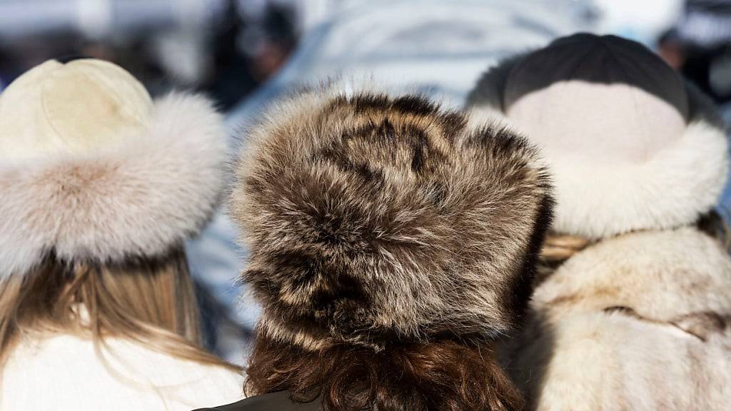 Der Bundesrat will den Import von tierquälerisch erzeugten Pelzen und auch den Handel mit solchen Produkten im Inland verbieten. Er hat eine Änderung des Tierschutzgesetzes in eine Vernehmlassung gegeben. (Archivbild)