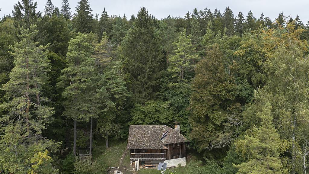 Die umstrittene Suizidkapsel Sarco kam am Montag bei dieser Waldhütte in Merishausen SH zum Einsatz. Die Staatsanwaltschaft hat nun gegen eine Person Untersuchungshaft beantragt.