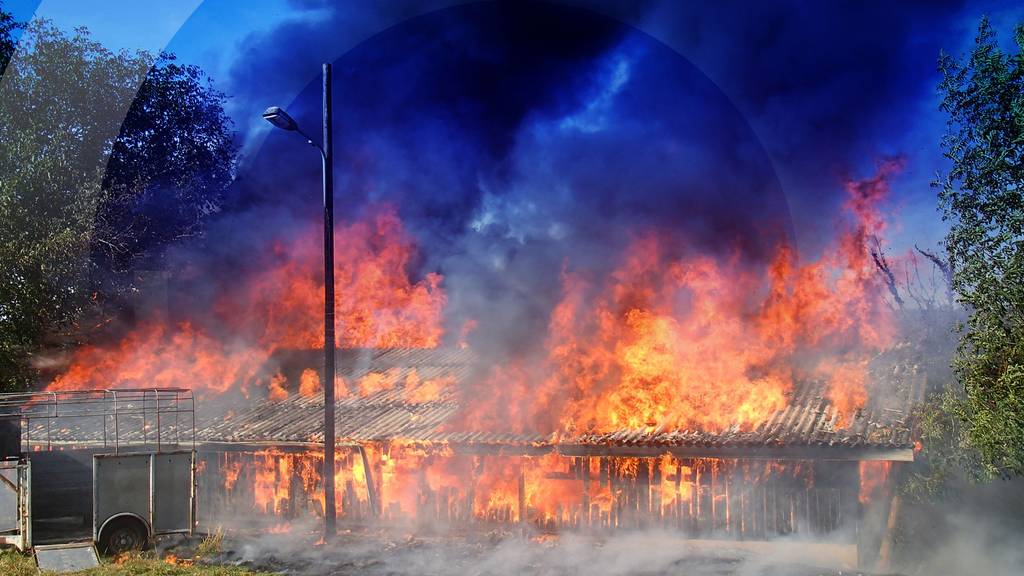 Montag, 22. Juli 2019