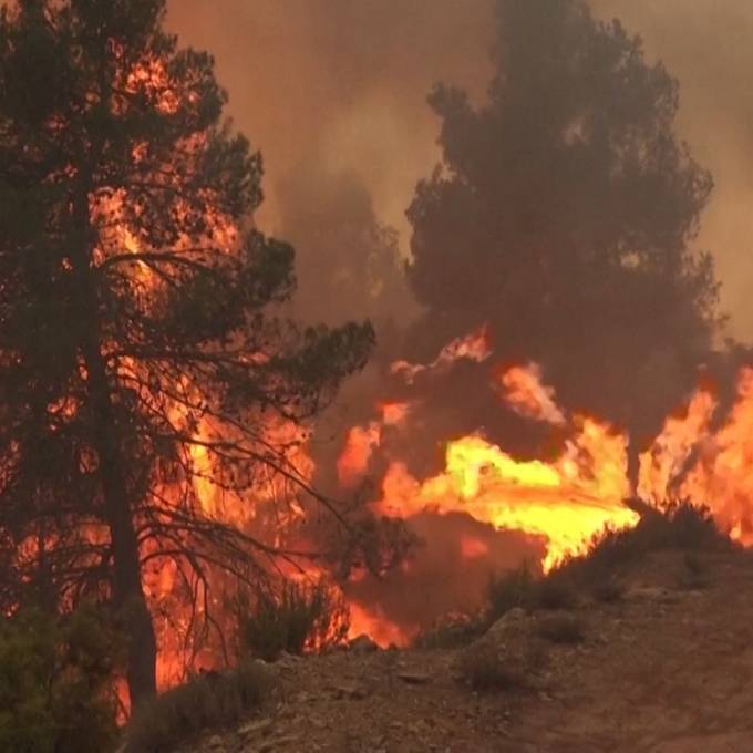 In Spanien wüten die ersten Waldbrände des Jahres