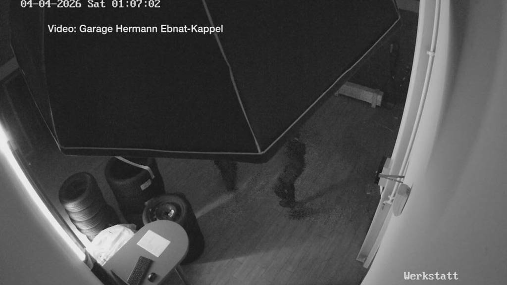 Einbrüche ohne Ende: Ostschweizer Garagen im Fokus französischer Diebesbanden
