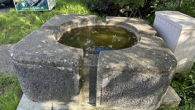 Aussergewöhnliche Aktion: Gemeinde verschenkt Brunnen auf «Tutti»