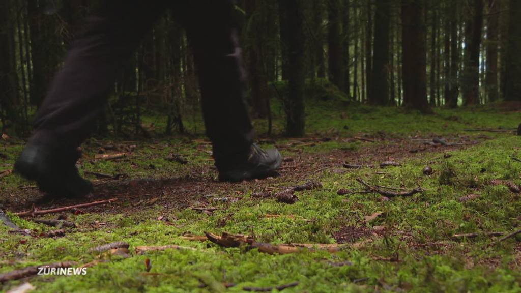 Unbekannte stehlen und schlachten drei Lämmer