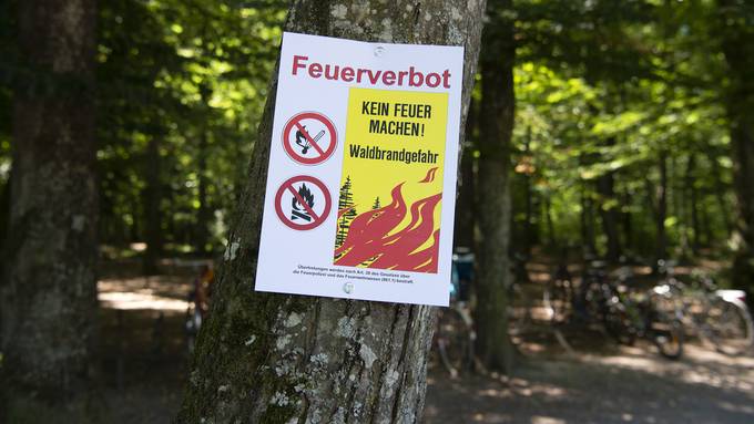 Die Hitzewelle hält an – kommt jetzt im Kanton Zürich ein Feuerverbot?