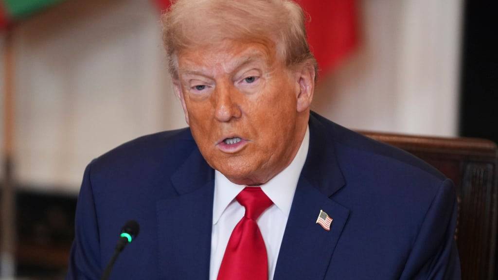 US-Präsident Donald Trump spricht während eines Mittagessens mit afrikanischen Staatsoberhäuptern im State Dining Room des Weißen Hauses. Foto: Evan Vucci/AP/dpa