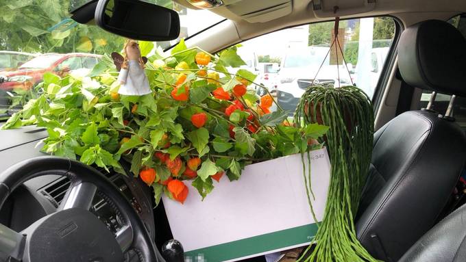 Mit Blumen und Geschirr Sichtfeld verdeckt