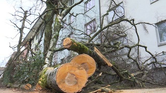 Sturmtief Susanna fegt über die Schweiz