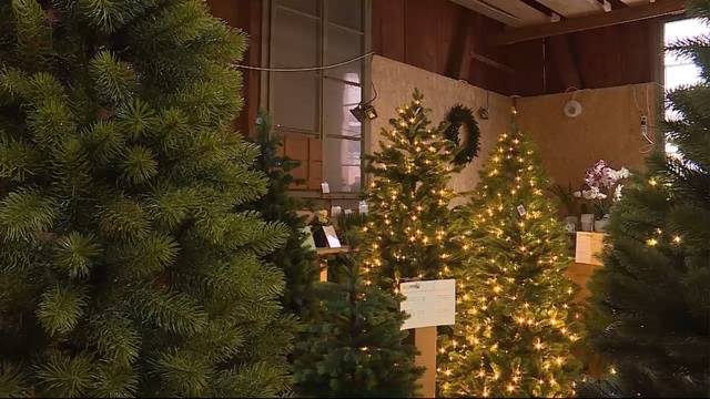 Plastik-Weihnachtsbaum im Trend: Zu Recht?