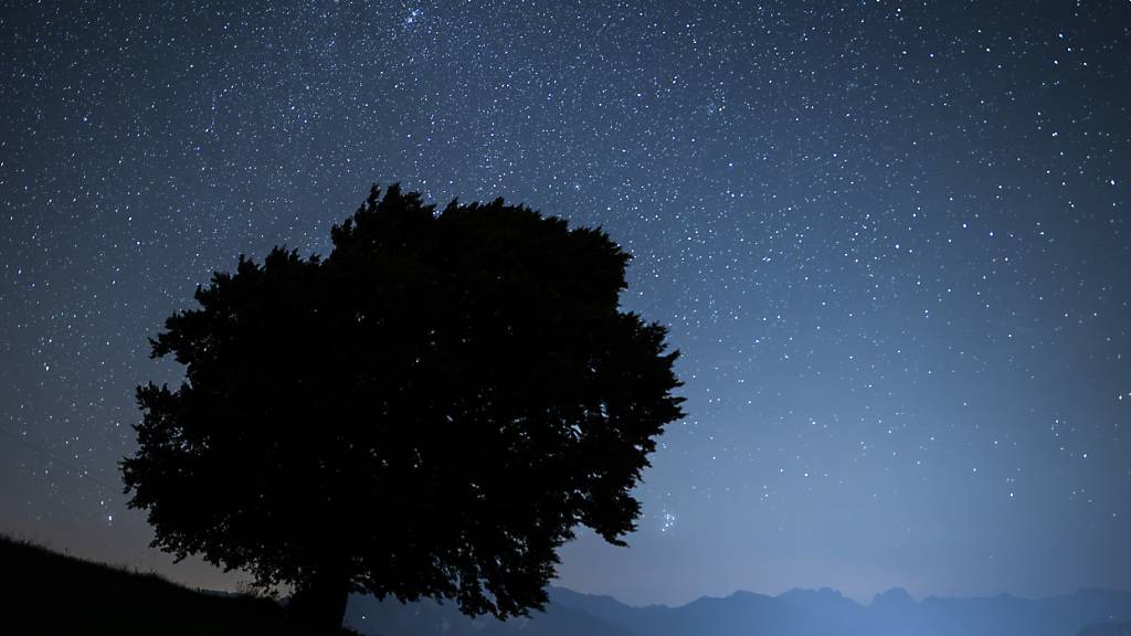 Sternschnuppen des Leonidenstroms am Schweizer Nachthimmel