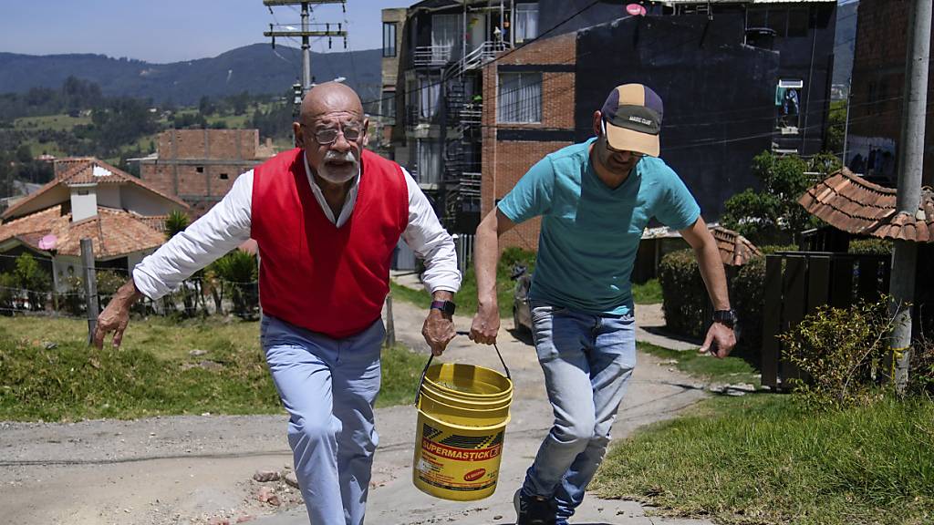 Kolumbien: Wasserversorger ruft mit Bären-Video zu Wassersparen auf