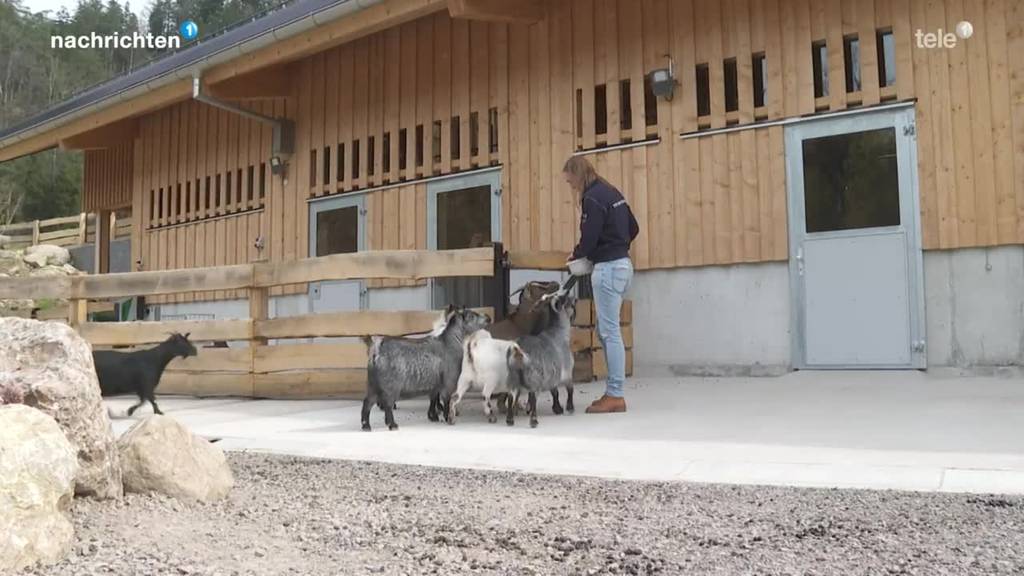 Einweihung Grosswijer-Hof im Tierpark Goldau