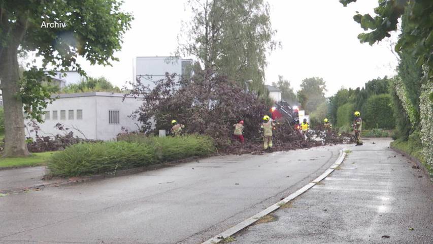 Heftige Gewitter in der Ostschweiz: Warum extreme Wetterlagen zur neuen Realität werden