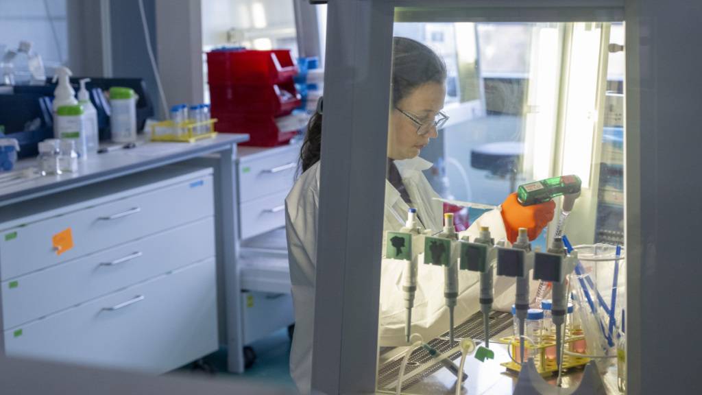 Roche übernimmt PathAI: Mit künstlicher Intelligenz werden pathologische Bilder analysiert und ausgewertet. (Symbolbild)