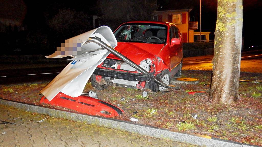 Der Fahrer wurde mittelschwer verletzt.