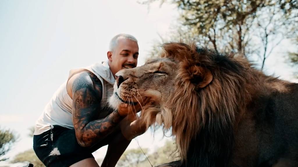 Dean Schneider lässt Löwenrudel in Südafrika frei